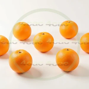 4cP005226AI生成素材