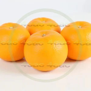 4cP005227AI生成素材