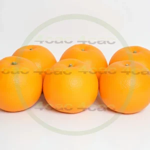 4cP005228AI生成素材