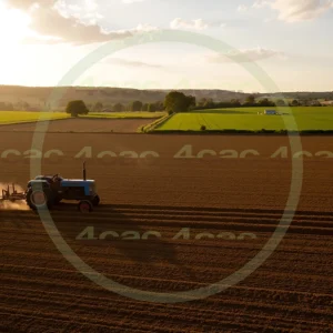 4cP006620AI生成素材