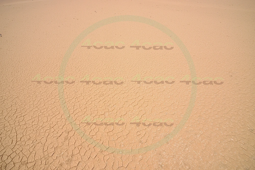 4cP006645AI生成素材