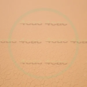 4cP006646AI生成素材