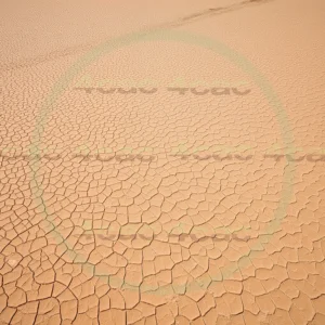 4cP006648AI生成素材