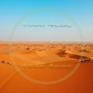 4cP006653AI生成素材