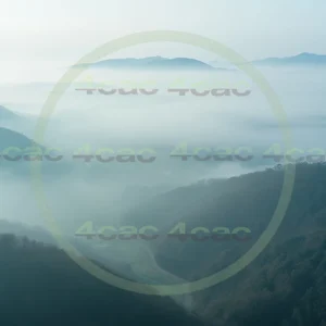 4cP006684AI生成素材