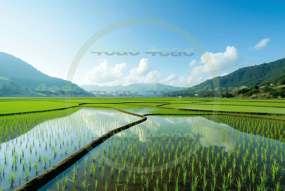 4cP006761AI生成素材