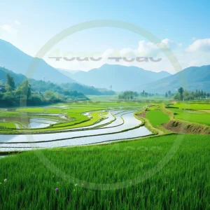 4cP006762AI生成素材