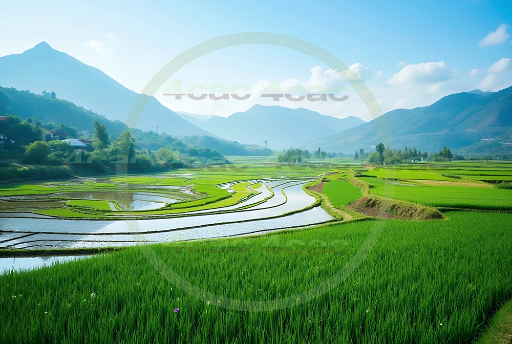 4cP006762AI生成素材