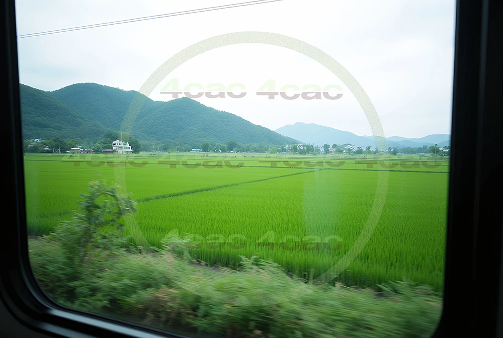 4cP007384AI生成素材