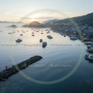 4cP007400AI生成素材