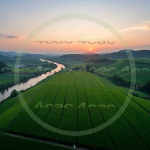 4cP007409AI生成素材