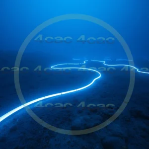 4cP007474AI生成素材