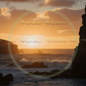 4cP007593AI生成素材