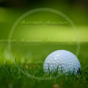 4cP007766AI生成素材