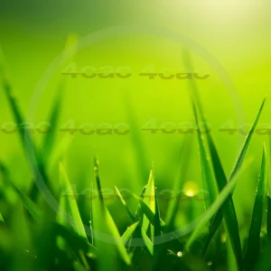 4cP007777AI生成素材