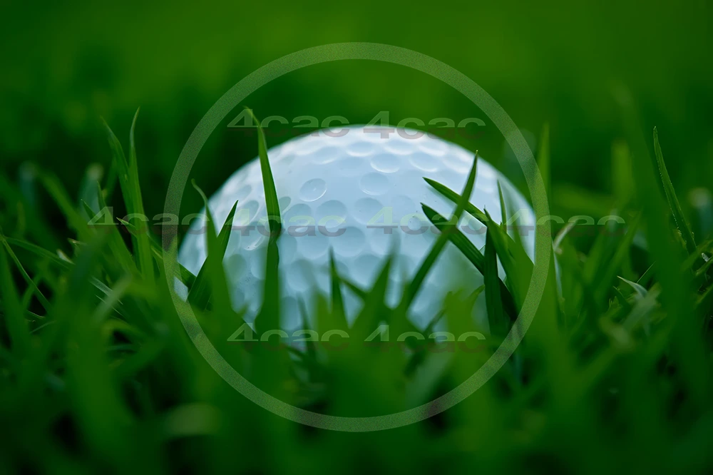 4cP007822AI生成素材