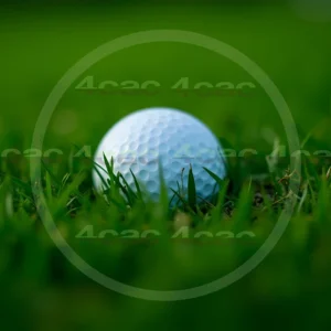 4cP007823AI生成素材