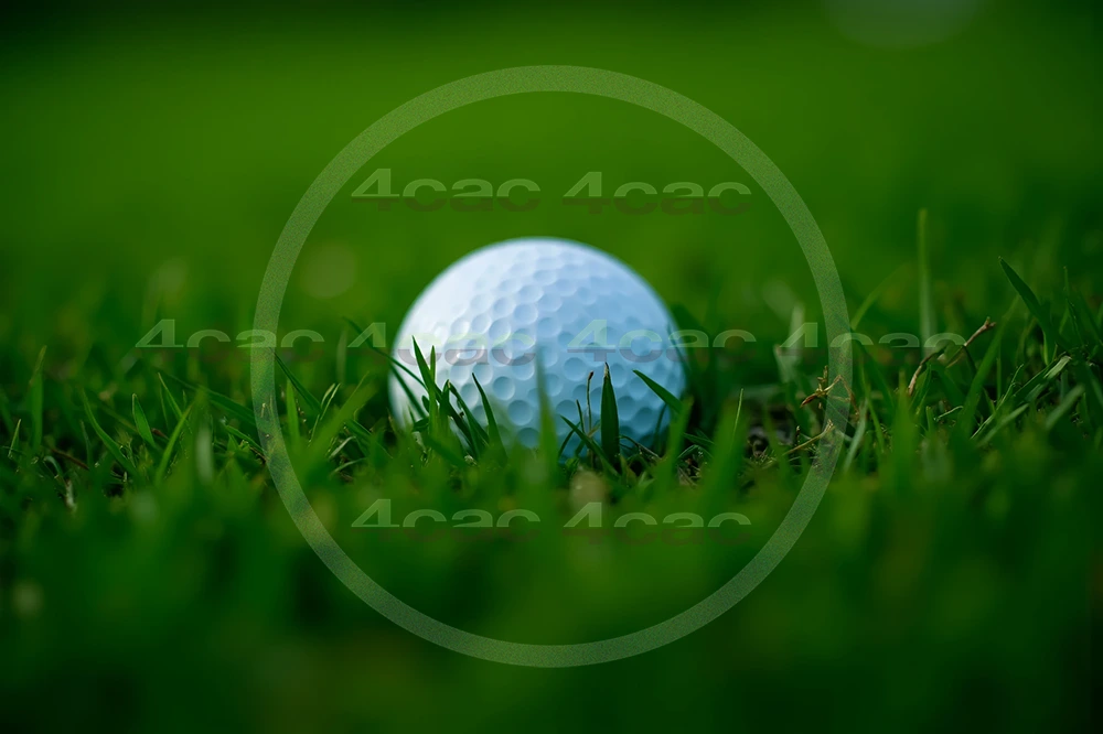 4cP007823AI生成素材