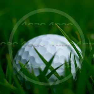 4cP007825AI生成素材