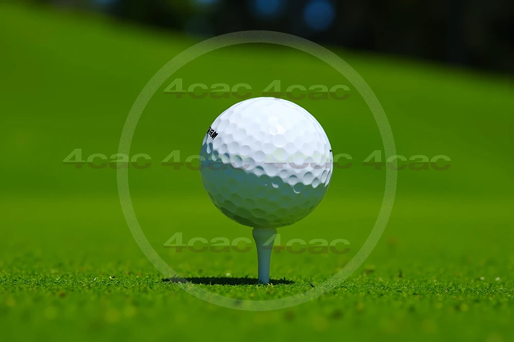 4cP007829AI生成素材