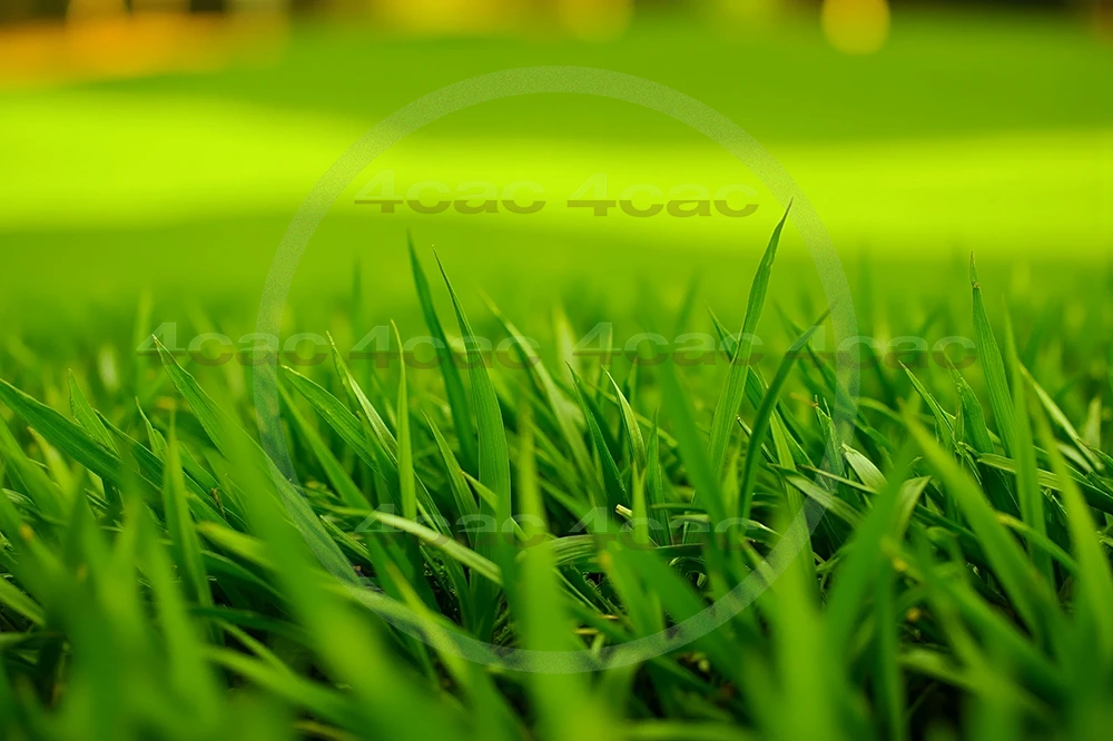 4cP007836AI生成素材