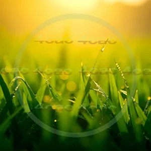 4cP007839AI生成素材