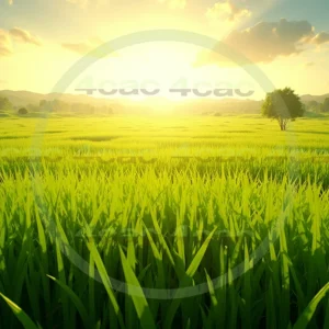 4cP007842AI生成素材