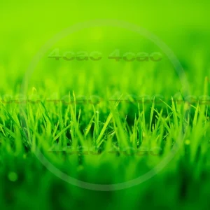 4cP007846AI生成素材