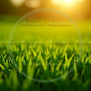 4cP007850AI生成素材