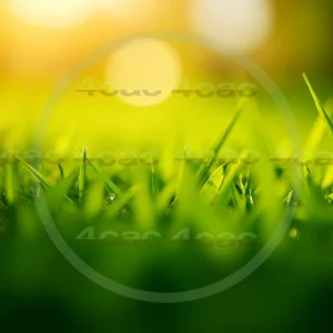 4cP007851AI生成素材