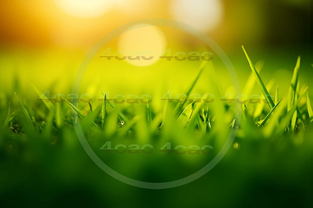 4cP007851AI生成素材