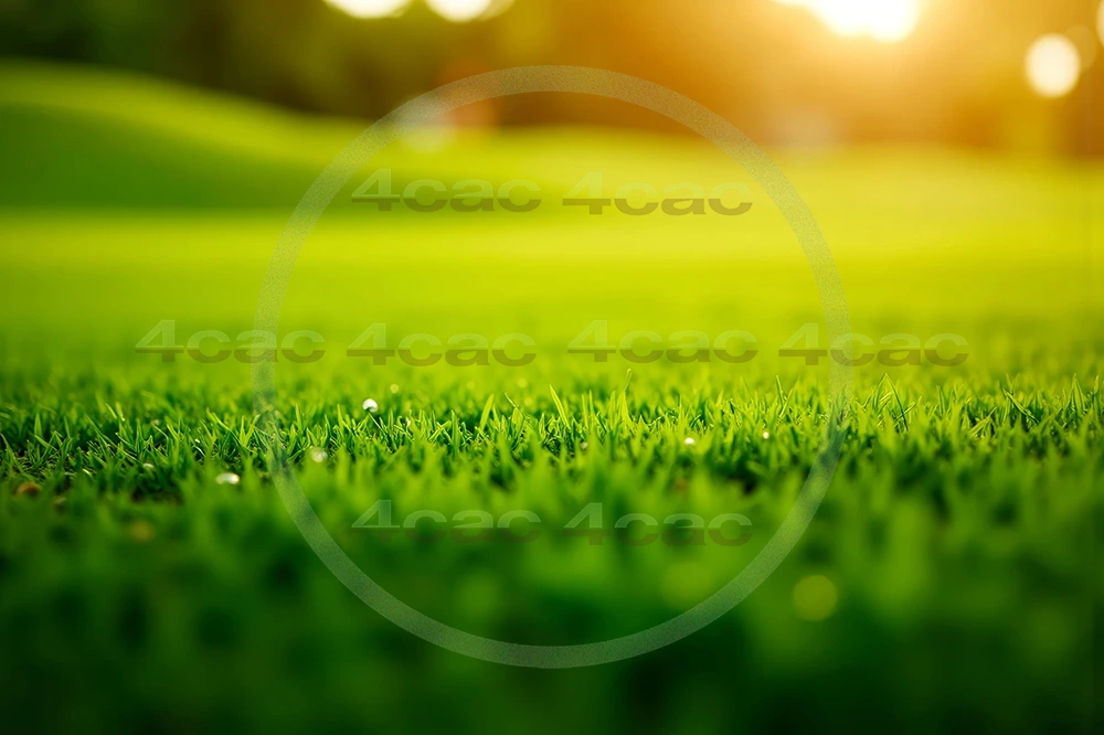 4cP007852AI生成素材