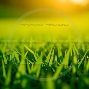 4cP007853AI生成素材