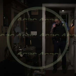 4cP008770AI生成素材