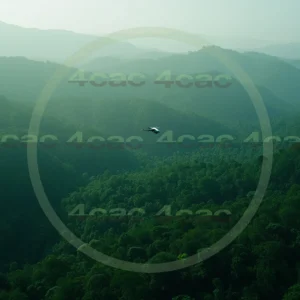 4cP009198AI生成素材