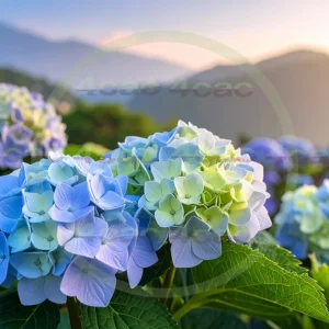 4cP009513AI生成素材