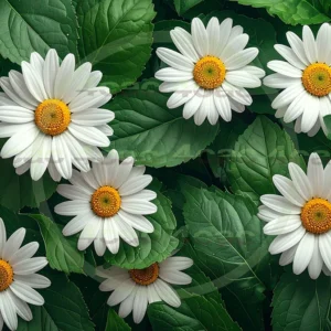 4cP009545AI生成素材