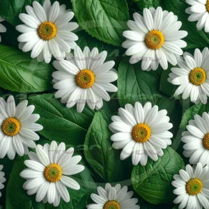 4cP009546AI生成素材