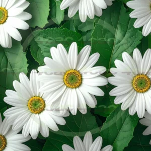 4cP009547AI生成素材