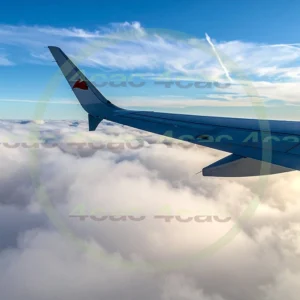 4cP009609AI生成素材