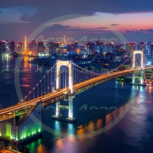 4cP010321AI生成素材