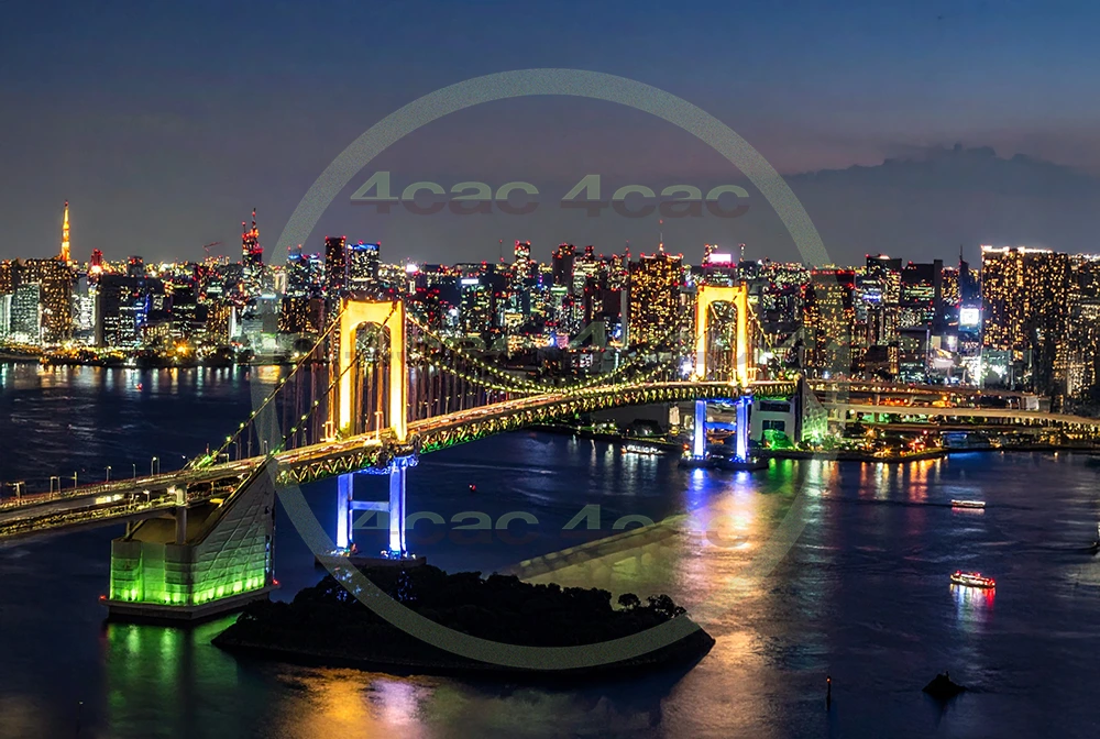 4cP010322AI生成素材