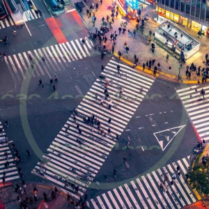 4cP010328AI生成素材