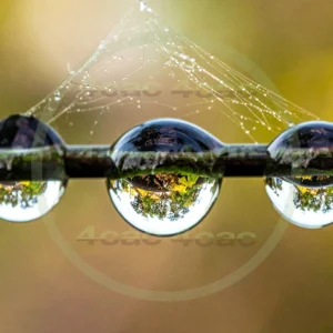 4cP010419AI生成素材