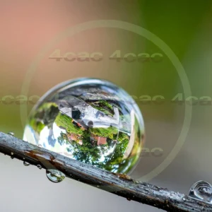 4cP010420AI生成素材