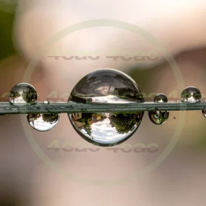 4cP010421AI生成素材