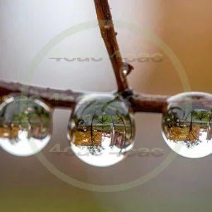 4cP010422AI生成素材