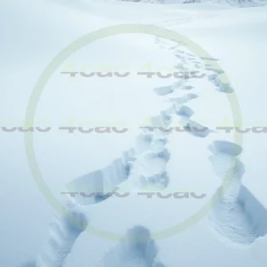 4cP010439AI生成素材