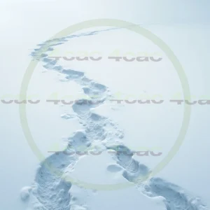 4cP010442AI生成素材