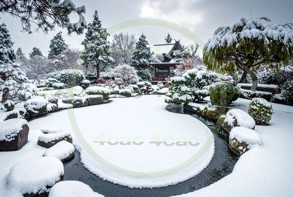 4cP010457AI生成素材